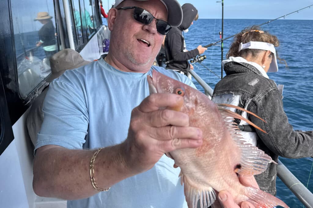 NEARSHORE-hogfish (5)