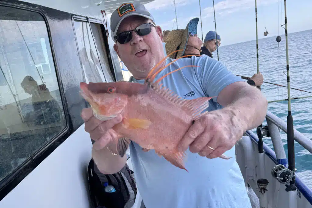 NEARSHORE-hogfish (6)