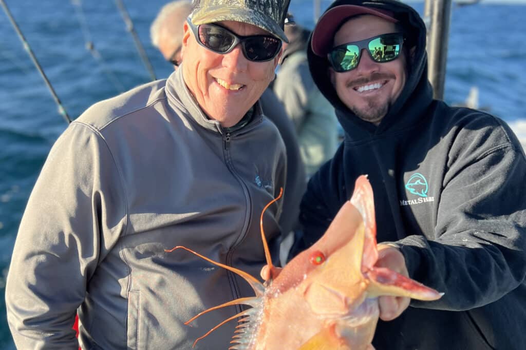 NEARSHORE-hogfish (7)