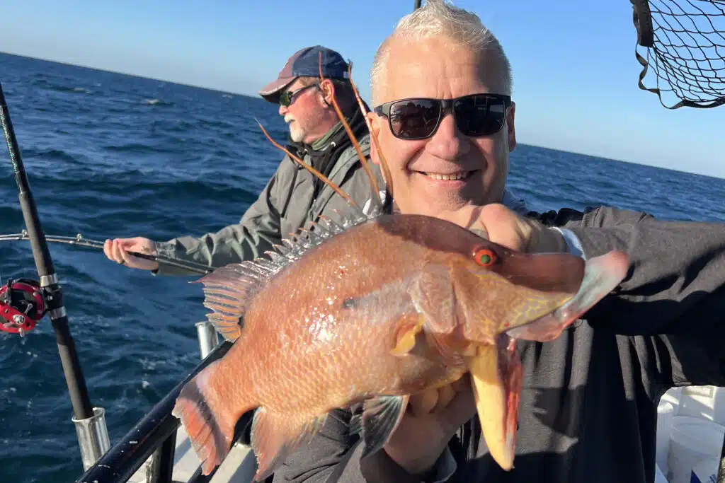 NEARSHORE-hogfish (8)