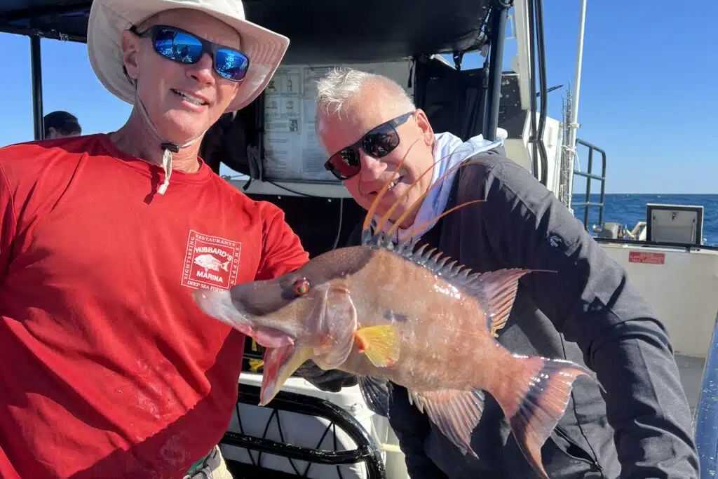 NEARSHORE-hogfish (9)