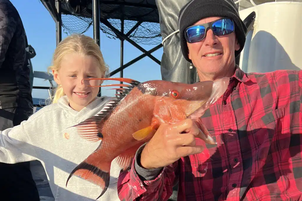 OFFSHORE-hogfish (1)