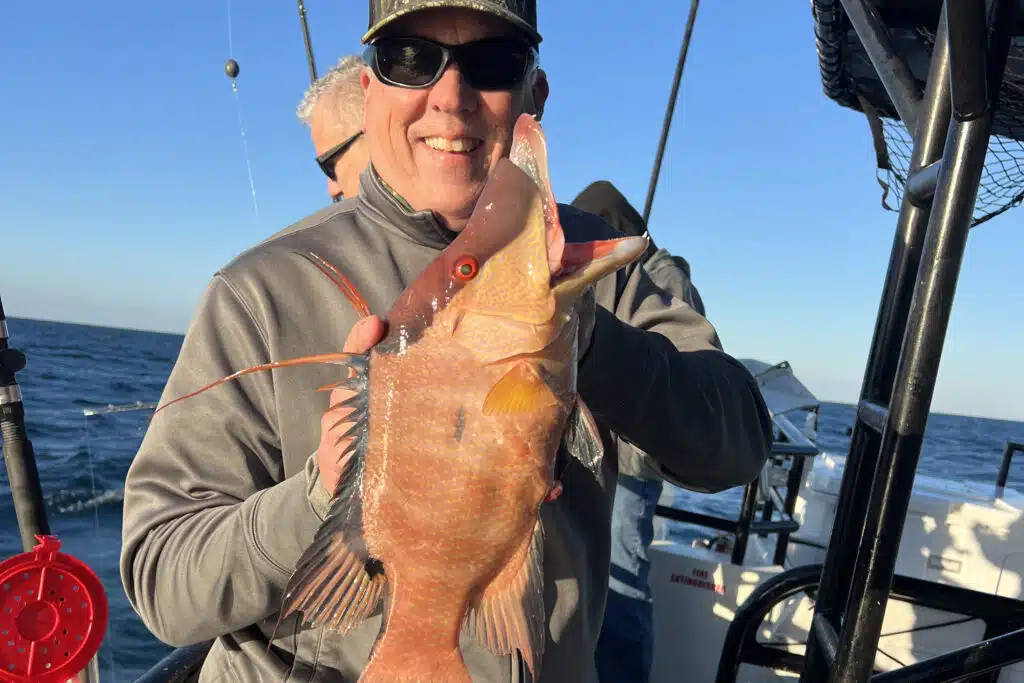 OFFSHORE-hogfish