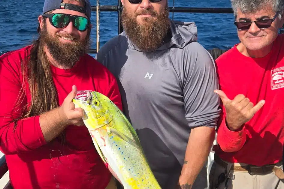 OFFSHORE-mahi (1)