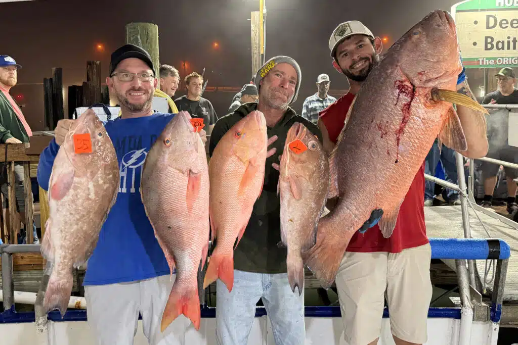 OFFSHORE-mutton-redgropuer