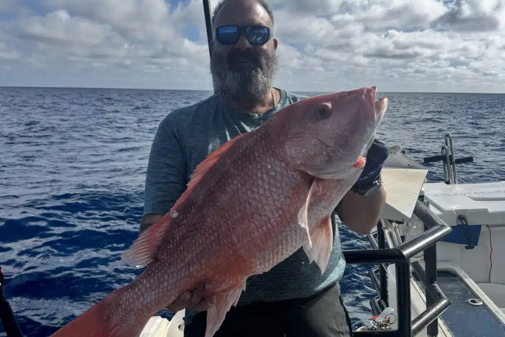 OFFSHORE-redsnapper (1)
