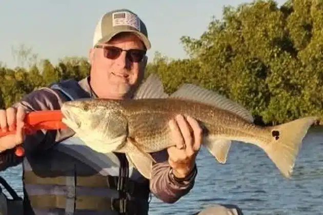 INSHORE-redfish