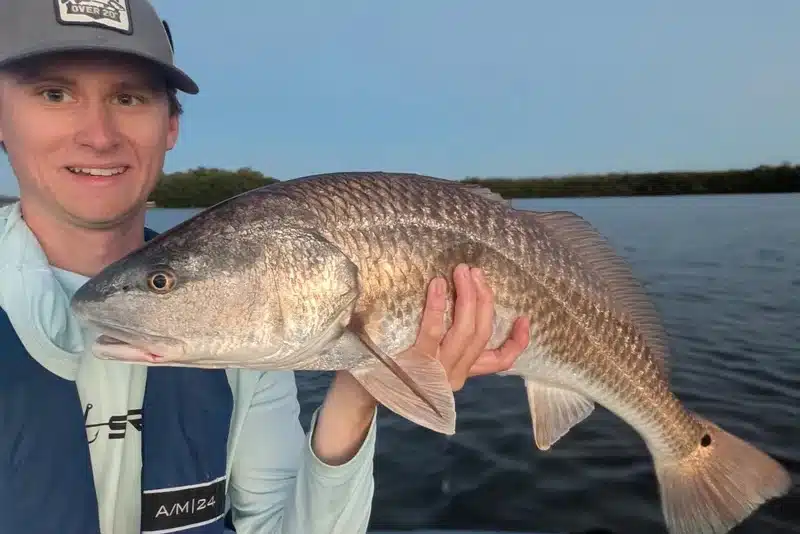 INSHORE-redfish11