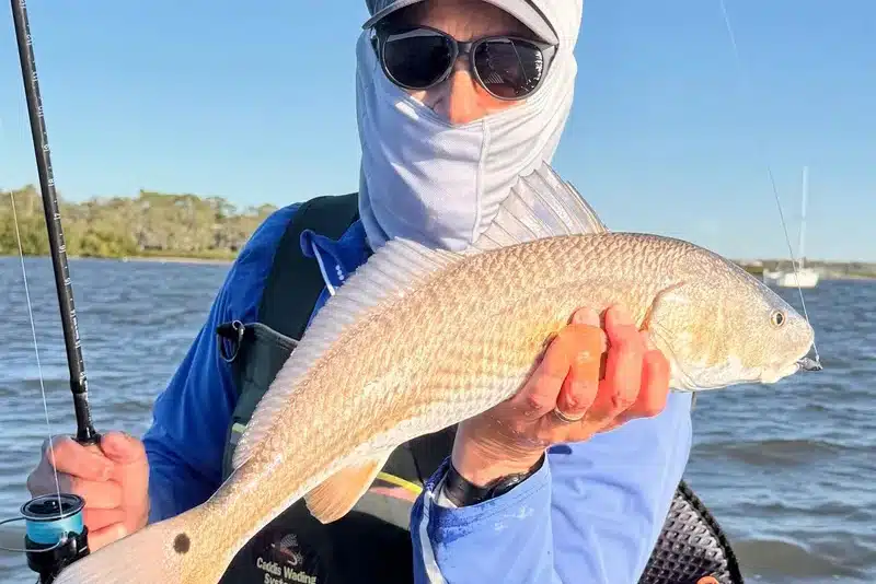 INSHORE-redfish3