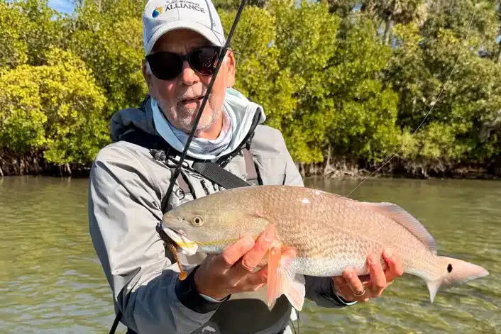 INSHORE-redfish3