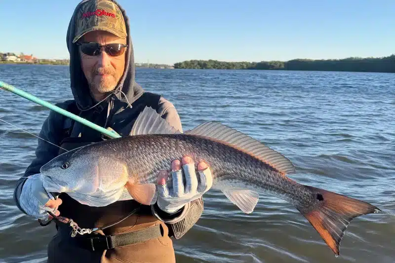 INSHORE-redfish4