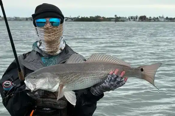 INSHORE-redfish5