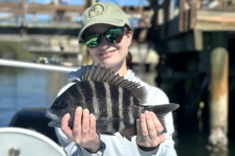 INSHORE-sheepshead