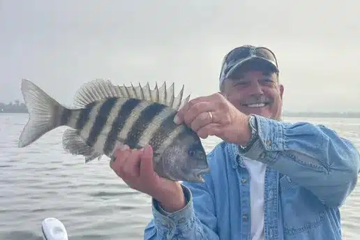 INSHORE-sheepshead
