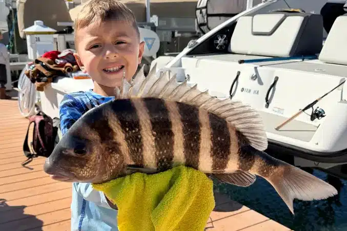 INSHORE-sheepshead2