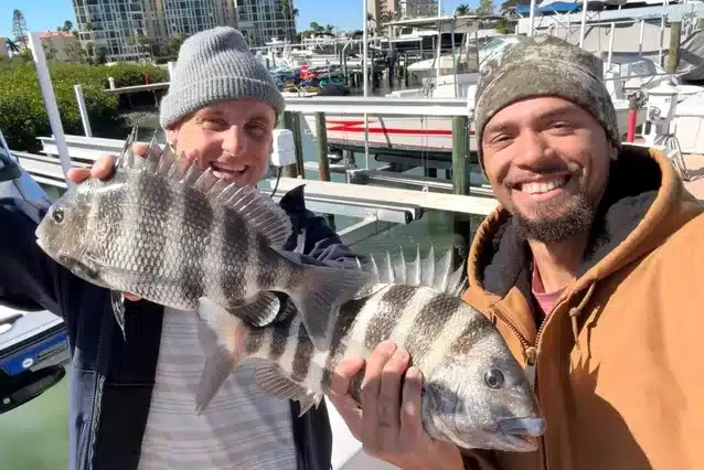 INSHORE-sheepshead3