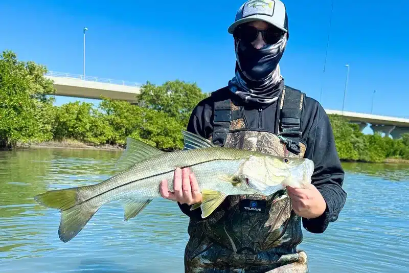 INSHORE-snook2