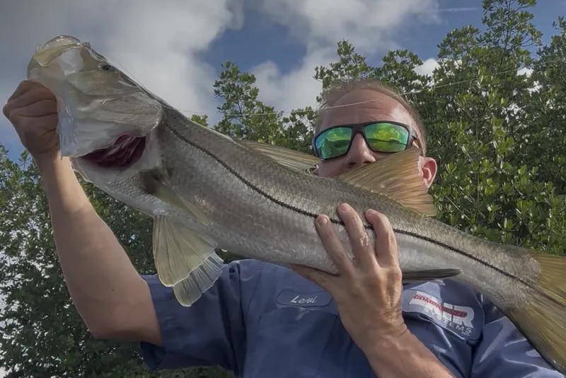 INSHORE-snook4