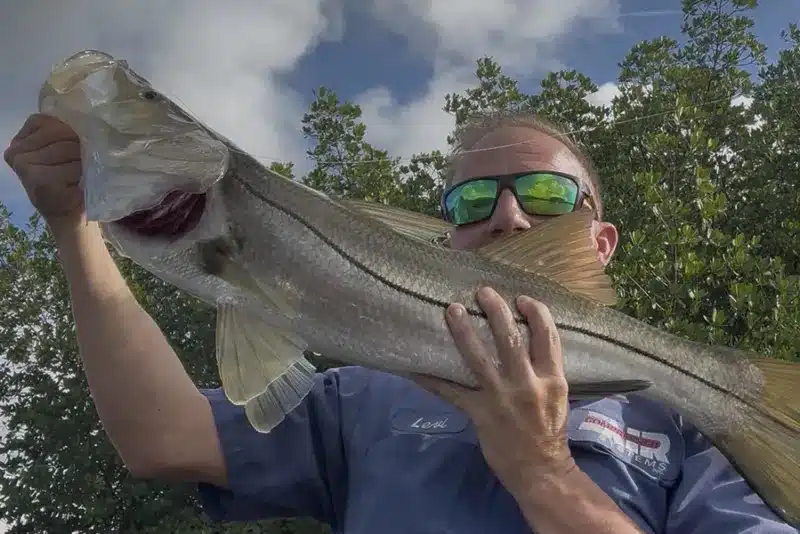 INSHORE-snook4