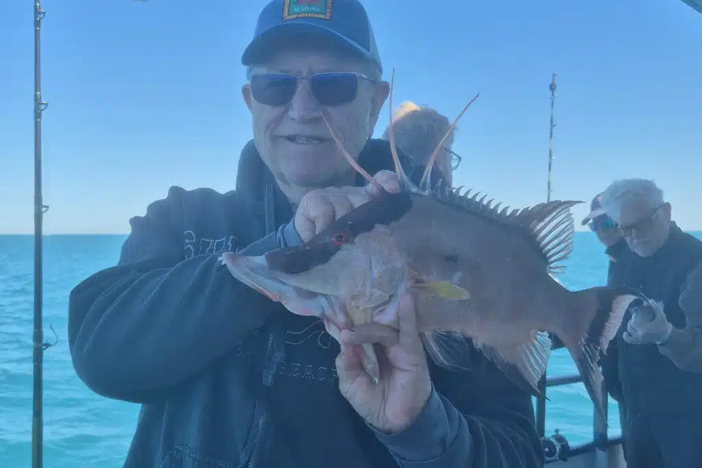 NEARSHORE-hogfish (1)