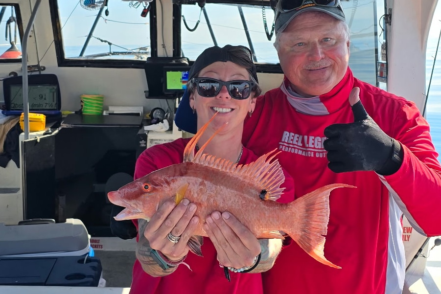 NEARSHORE-hogfish (10)