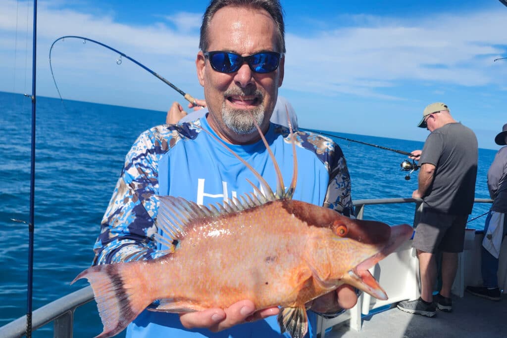 NEARSHORE-hogfish