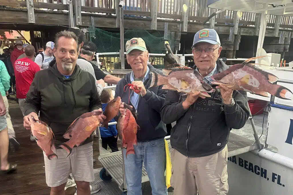 NEARSHORE-hogfish