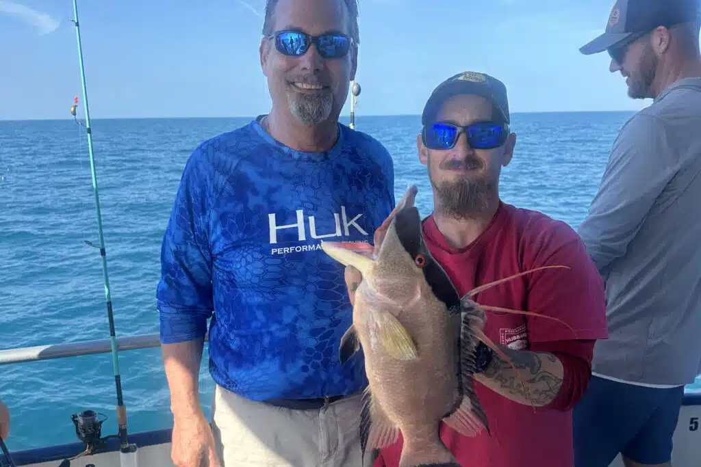 NEARSHORE-hogfish (2)