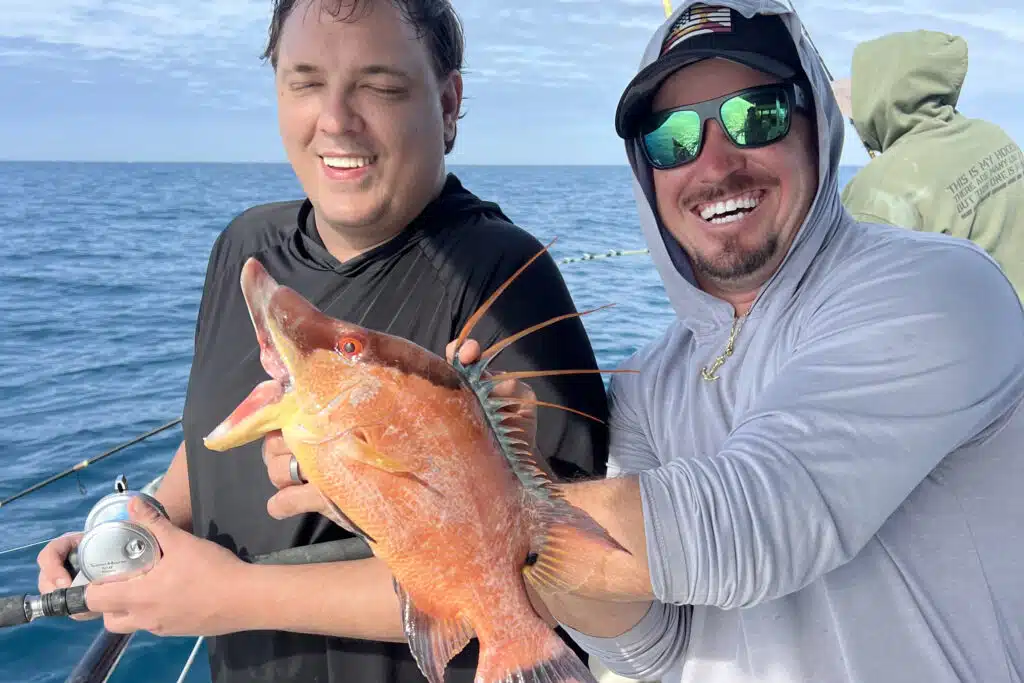 NEARSHORE-hogfish (3)