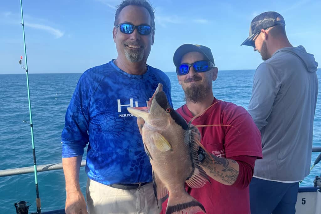 NEARSHORE-hogfish (3)