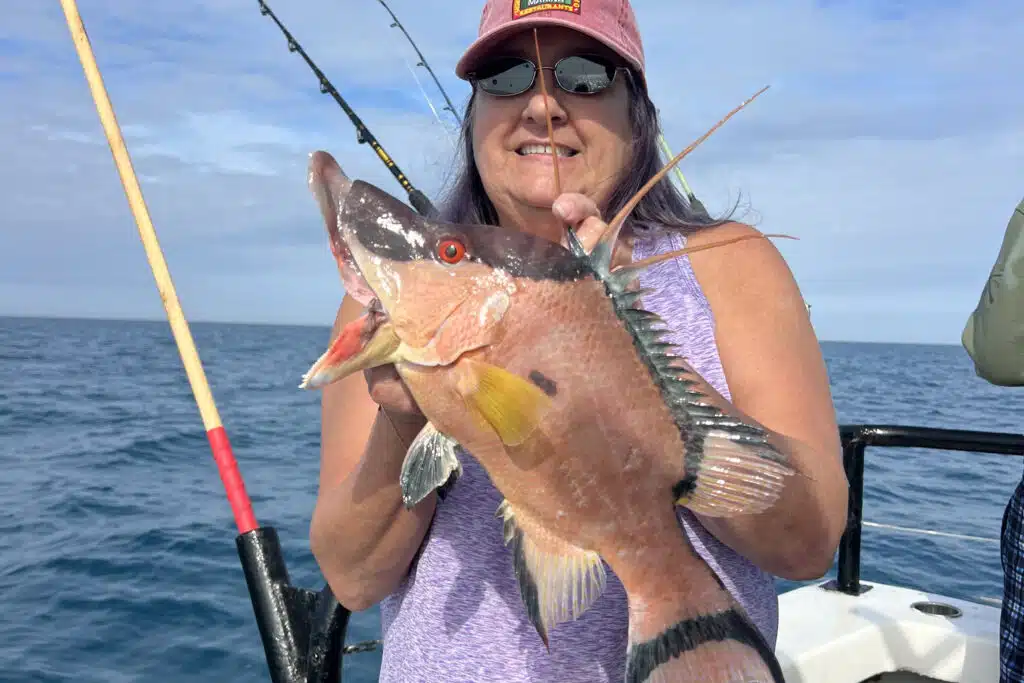 NEARSHORE-hogfish (4)