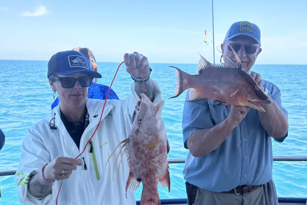 NEARSHORE-hogfish (4)