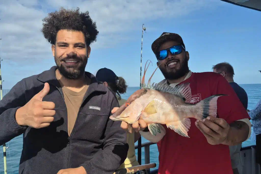 NEARSHORE-hogfish (5)
