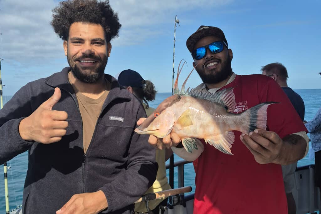 NEARSHORE-hogfish (6)