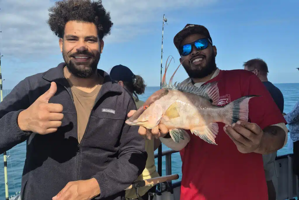 NEARSHORE-hogfish (6)