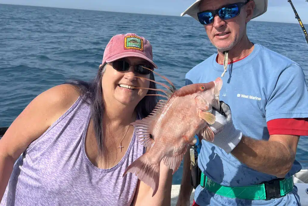 NEARSHORE-hogfish (7)