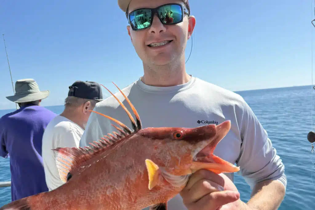 NEARSHORE-hogfish (8)