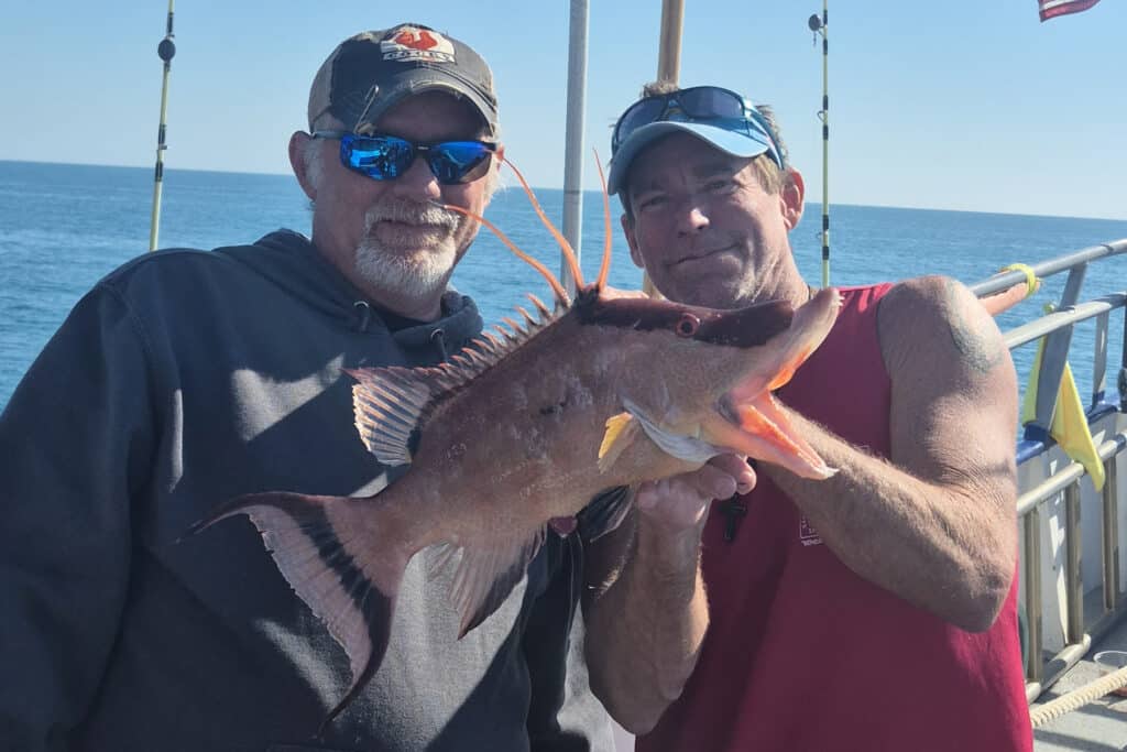 NEARSHORE-hogfish (8)