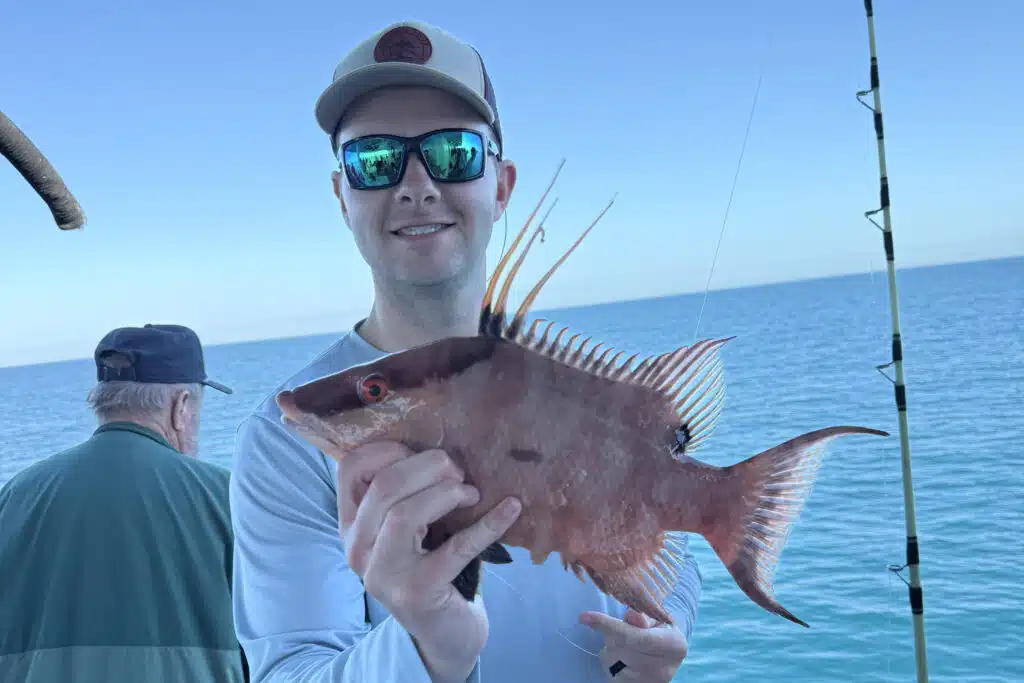 NEARSHORE-hogfish (9)