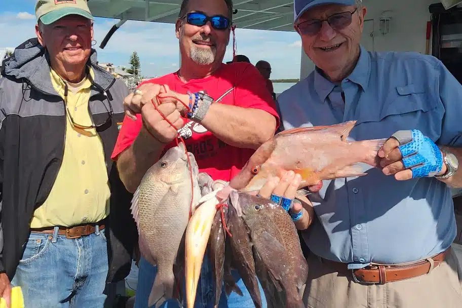 NEARSHORE-hogfish-other