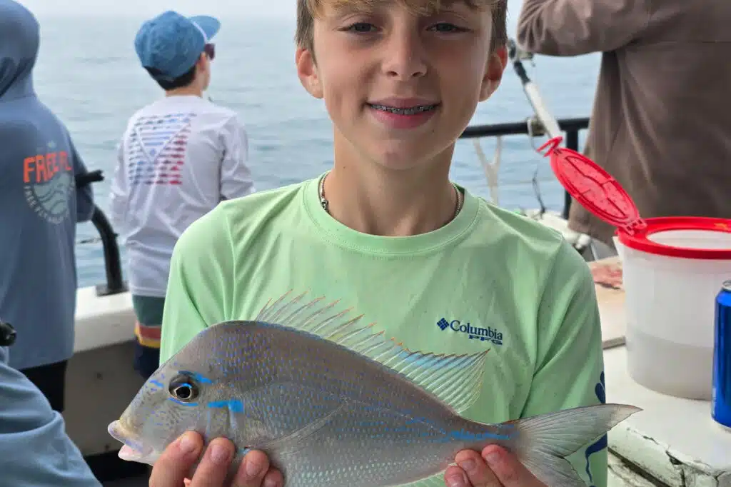 NEARSHORE-porgy (1)