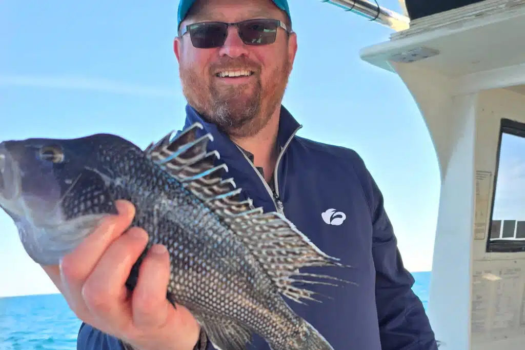 NEARSHORE-seabass (1)