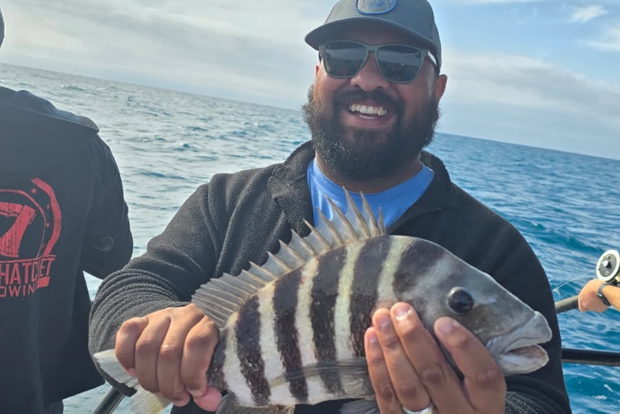 NEARSHORE-sheepshead (1)