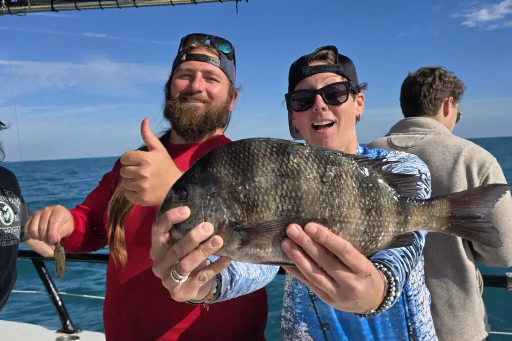 NEARSHORE-sheepshead