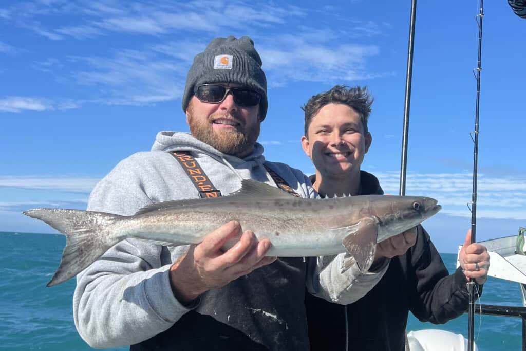 OFFSHORE-cobia
