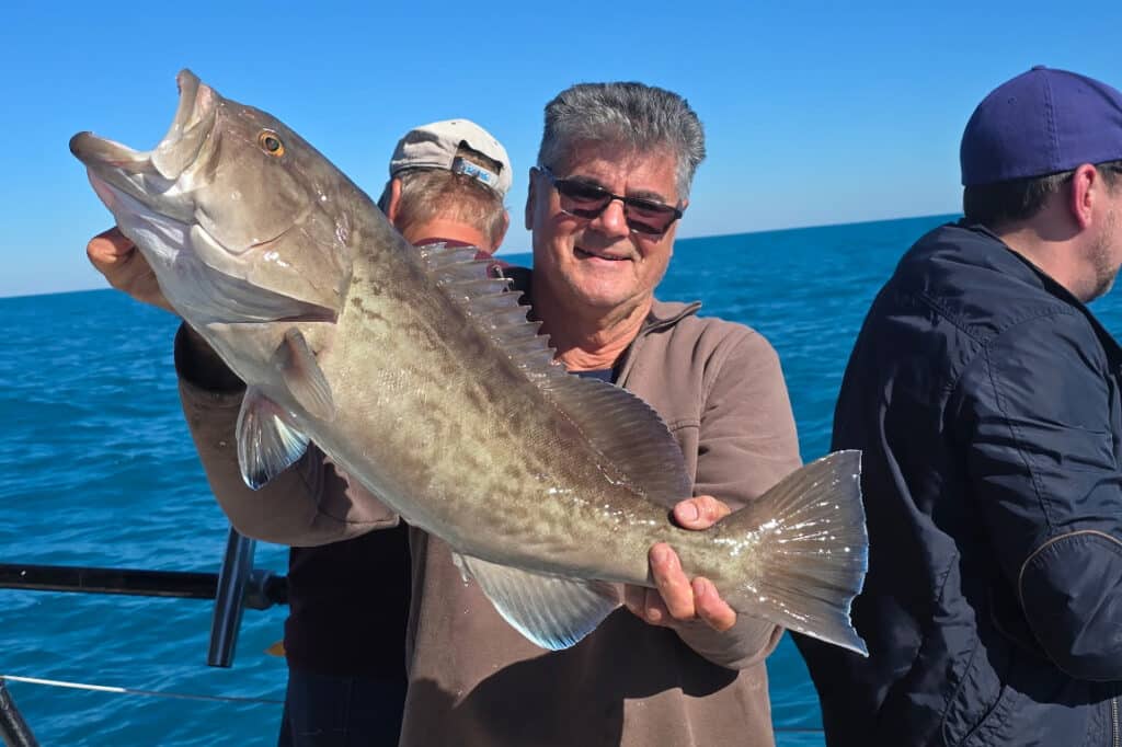 OFFSHORE-gaggrouper (1)