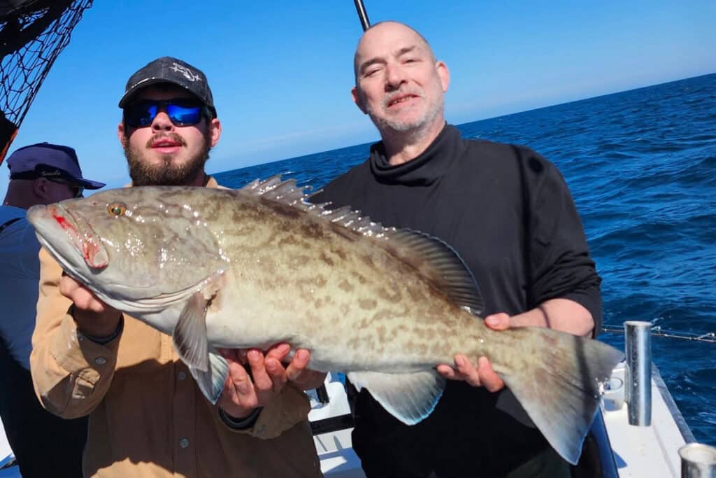 OFFSHORE-gaggrouper (1)