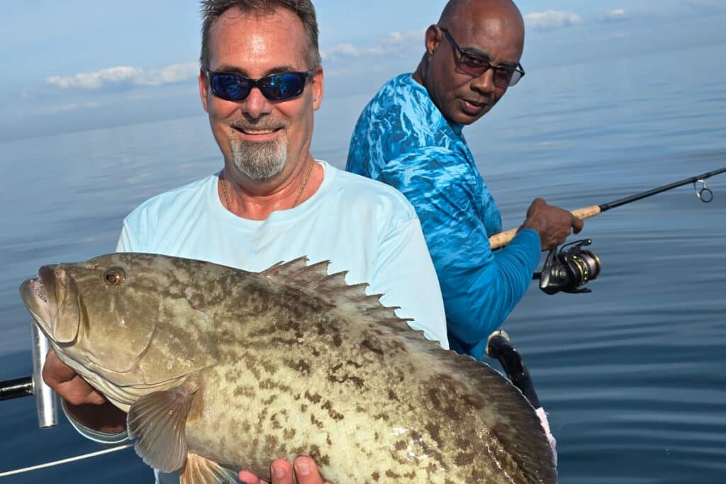 OFFSHORE-gaggrouper