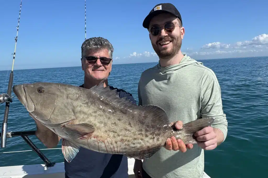 OFFSHORE-gaggrouper (2)