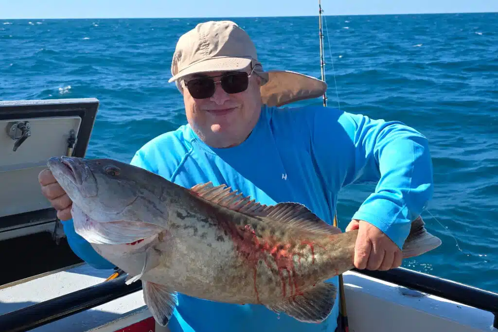 OFFSHORE-gaggrouper (2)